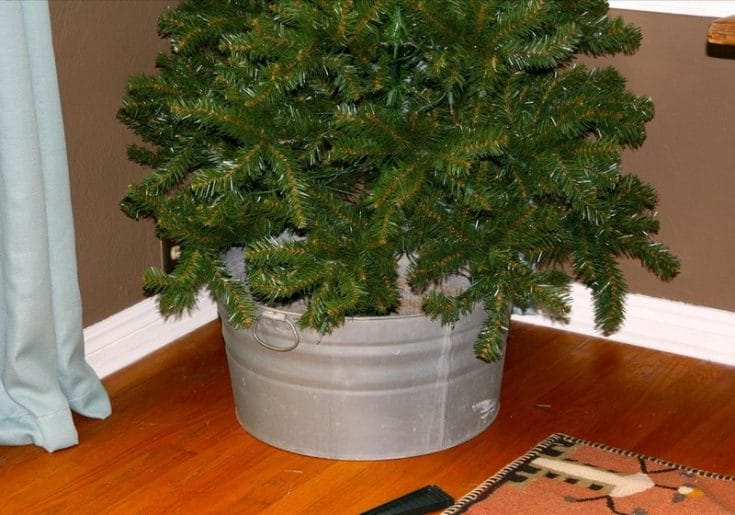 Cuidados del árbol de navidad. Cómo cuidar un árbol de navidad natural