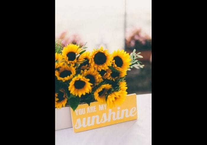 Regalar girasoles el 14 de febrero significado