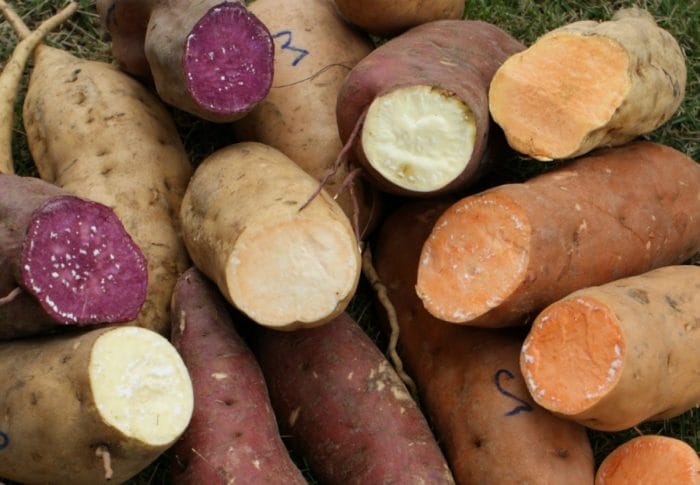 verduras que engordan si se consumen en exceso