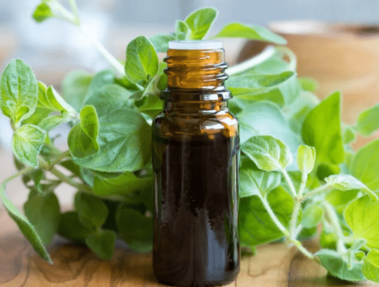 ¡Hazlo tú misma! Aceite de orégano y sus beneficios